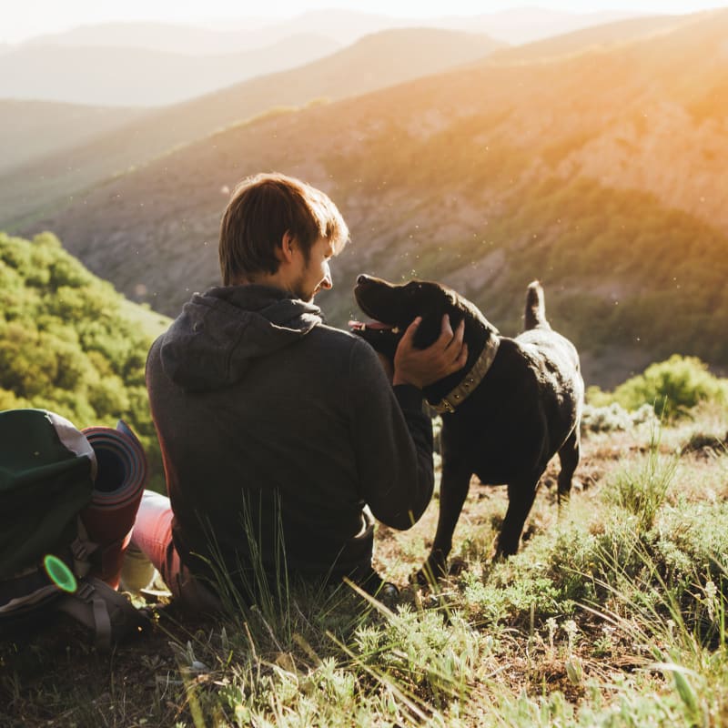 Herbs & Nutrition | Aerowood Animal Hospital
