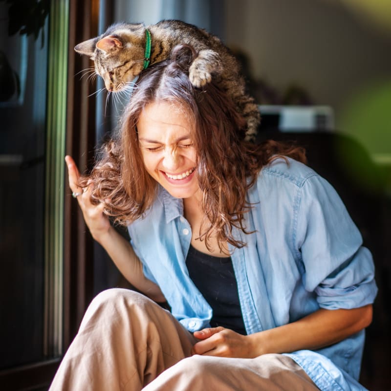 Second Opinions | Aerowood Animal Hospital